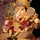 Lord Ganesha